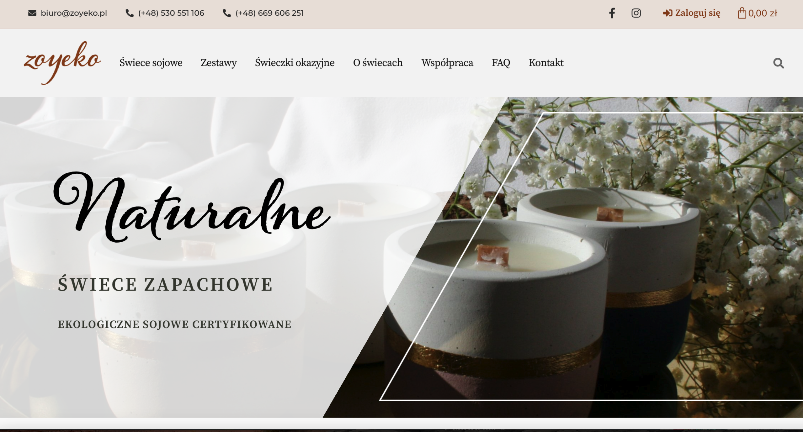zoyeko.pl - projekt adsweb